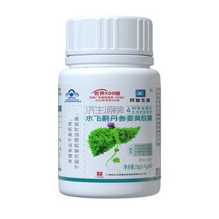 白云山水飞蓟护肝片姜黄素奶蓟草胶囊降排养肝护肝火毒熬夜正品