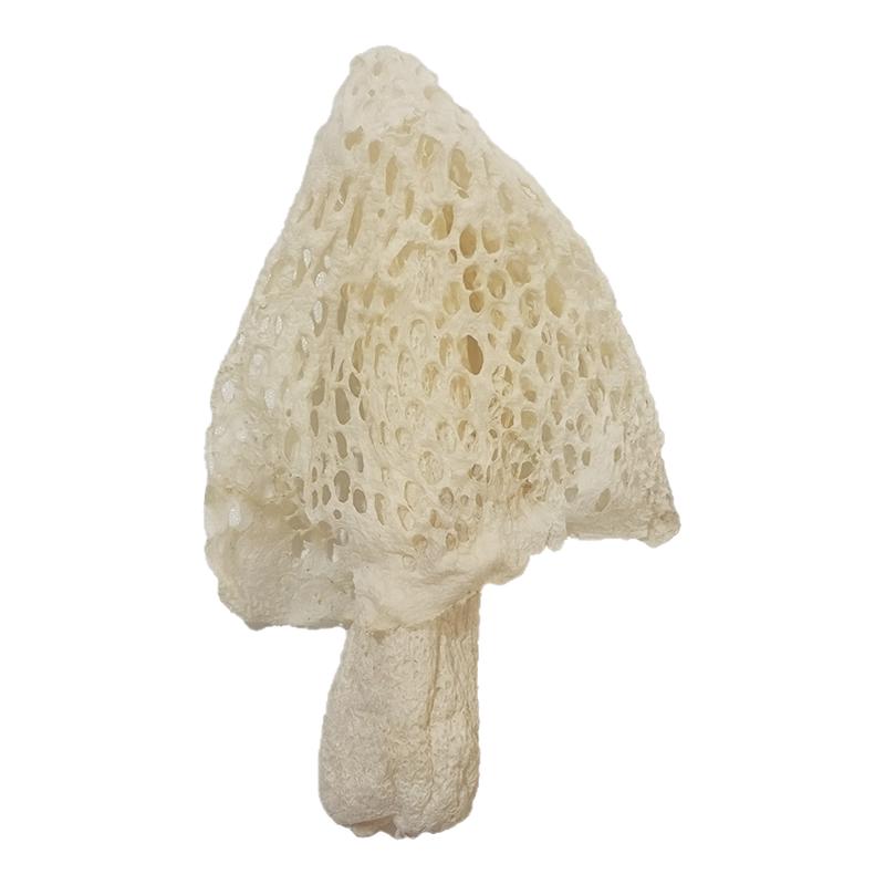 贵州织金红托竹荪干货无硫竹生菌