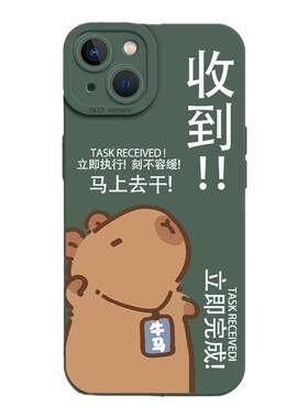 适用华为手机壳又我打工水豚