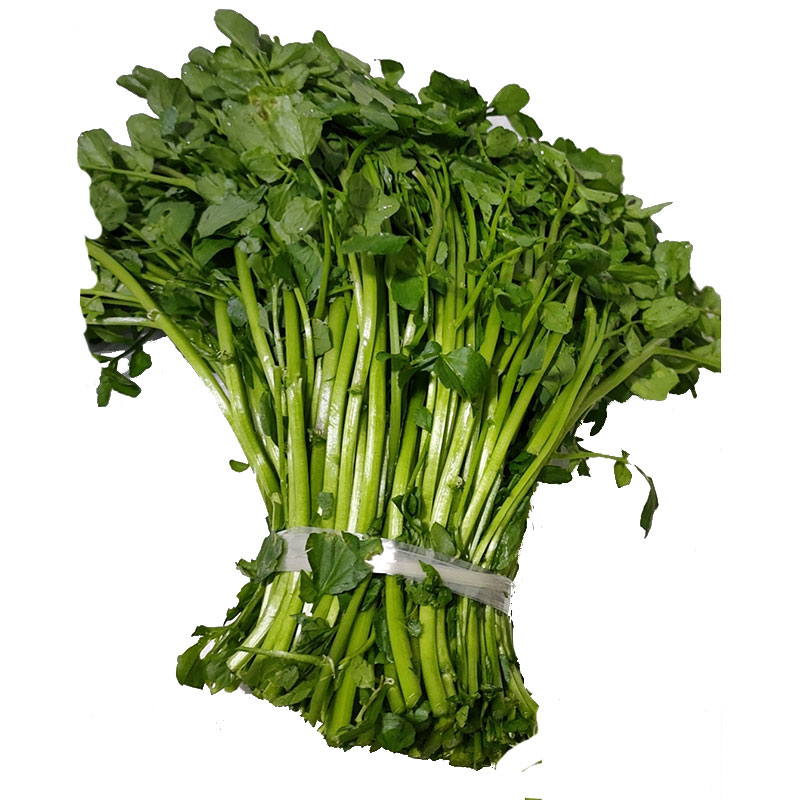 贵州新鲜西洋菜豆瓣菜
