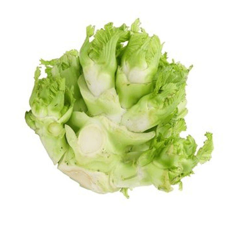 【今年新种】儿菜种子四季播娃娃菜抱子芥菜秋季蔬菜种子早熟易种