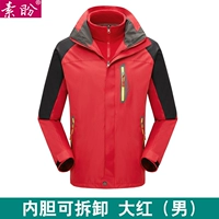 Чай улун Да Хун Пао, съемный вкладыш