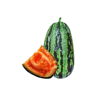 红到边甜瓜种子袋 花皮香瓜种 肉质细嫩味甜芳香瓜农种植瓜果种子