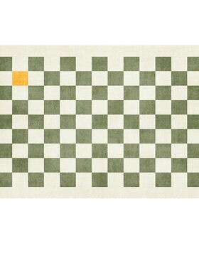棋盘卧室客厅地毯简约北欧