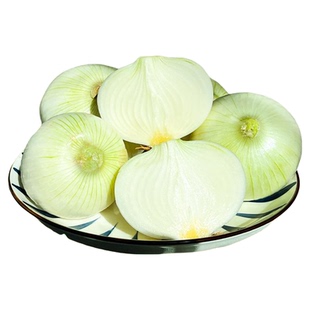 新疆特产白皮牙子白洋葱水果洋葱凉拌菜新鲜蔬菜生吃新疆直发包邮