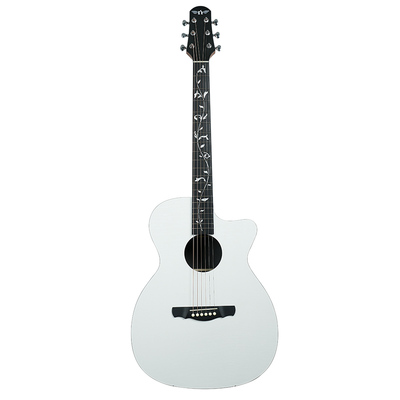 娜塔莎生命之树HPL吉他小白必选