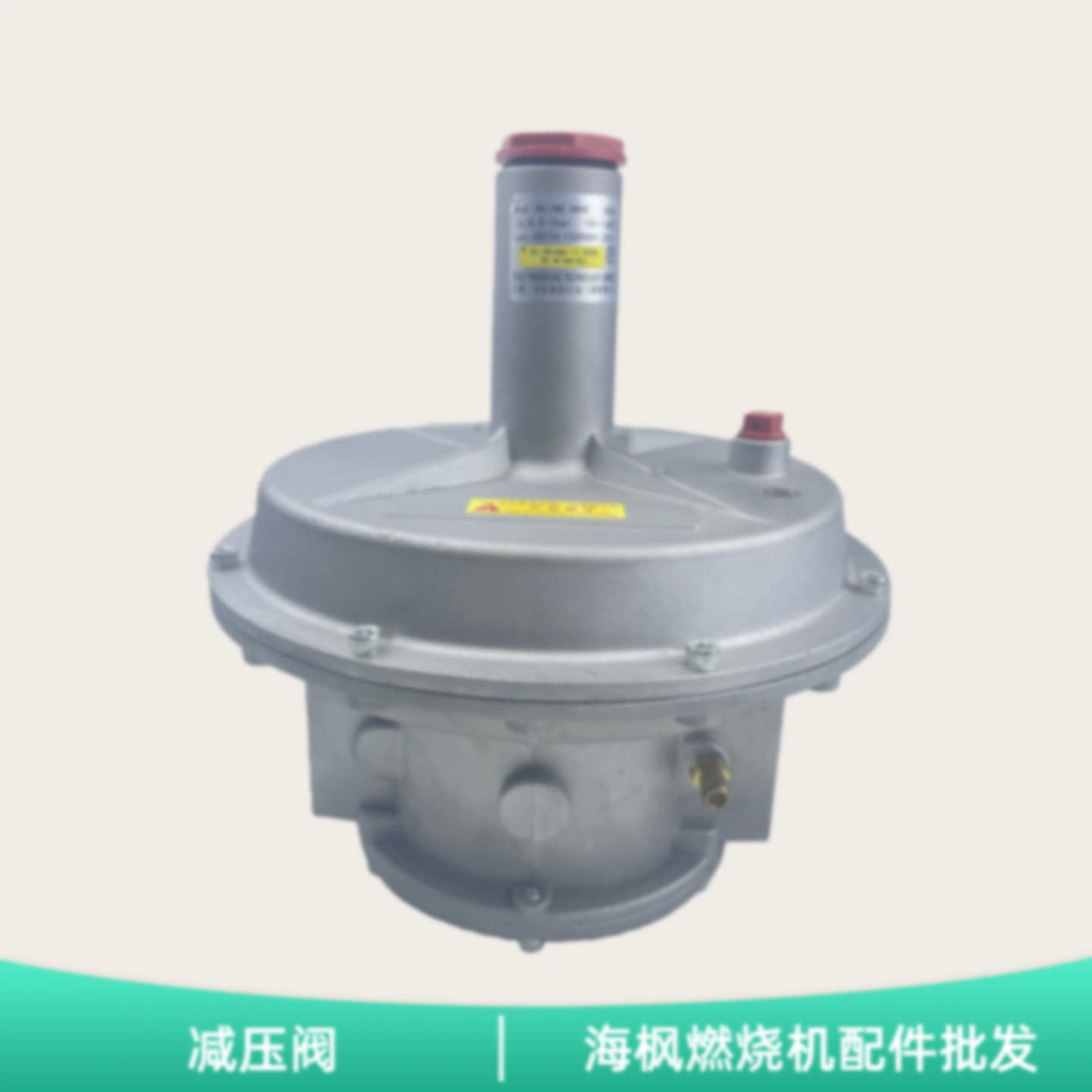 议价MADAGAS天燃气减压阀调压阀燃烧机锅炉管道稳压阀RG/2MC低压
