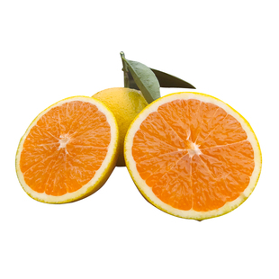 【现摘现发】湖北宜昌秭归脐橙九月红橙子果冻橙当季新鲜水果10斤