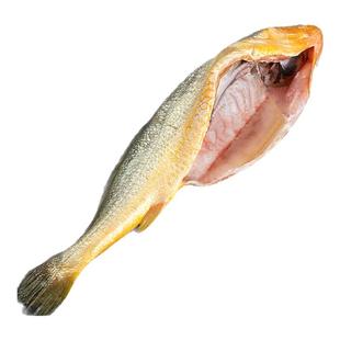 裕鲜舫国信1号深远海大黄鱼三去新鲜冷冻东海黄花鱼海鲜水产品