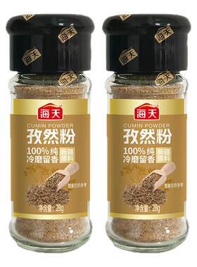 海天孜然粉28g家用香辛撒料瓶装牛排炸串西餐烧烤椒盐调味粉组合