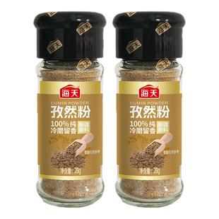 海天孜然粉28g家用香辛撒料瓶装牛排炸串西餐烧烤椒盐调味粉组合