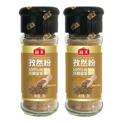 海天孜然粉28g家用香辛撒料瓶装牛排炸串西餐烧烤椒盐调味粉组合