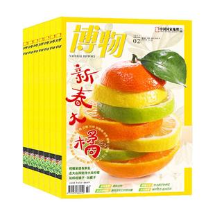 1月现货博物杂志2026年1-12月全年/半年订阅/增刊青少年版自然科普大百科全书科学探秘中小学生中国国家地理万物好奇号2025过刊