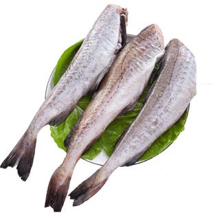 去头鳕鱼整条鳕鱼新鲜冷冻包邮无头鳕鱼雪鱼冷冻鳕鱼狭鳕鱼含冰衣