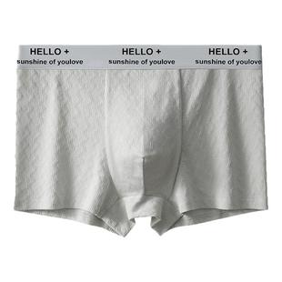 俞兆林男士内裤男生纯棉抗菌2025新款四角裤平角短裤头男款底裤衩