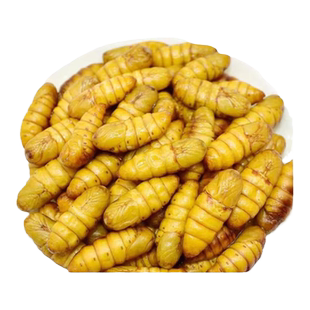 新鲜金丝蚕蛹鲜活冷冻商用烧烤特级山东特产农家桑蚕顺丰快递