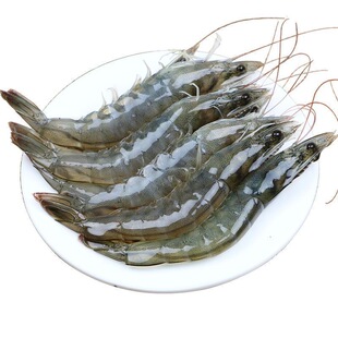 新鲜大虾鲜活青岛特大盐冻白对虾冷冻基围虾海虾海鲜水产速冻白虾