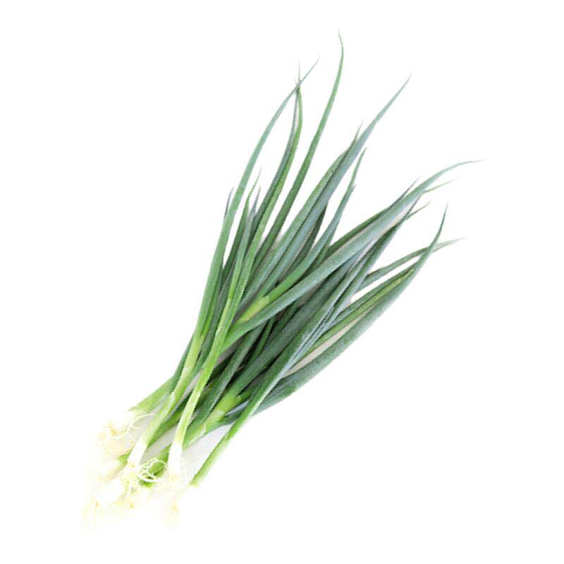 【沁蕊】新鲜小葱 香葱，湿的250g