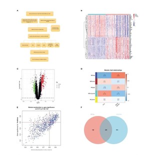 森林图 Meta分析 SAS软件分析 RevMan软件 网状 Stata