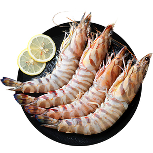 舟山九节虾礼盒装基围虾大虾野生速冻鲜活虾斑节虾竹节虾年货送礼