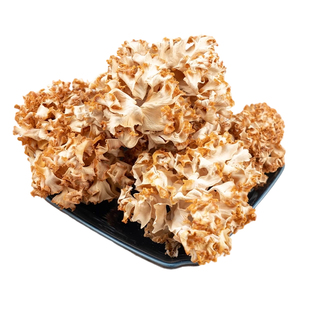 绣球菌干货火锅食材新鲜云南绣球菇一级干菇菌类大全凉拌煲汤批发