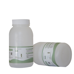 烟盲蝽生物防治温室烟、白粉虱斑潜蝇等害虫果蔬园艺推荐使用天敌