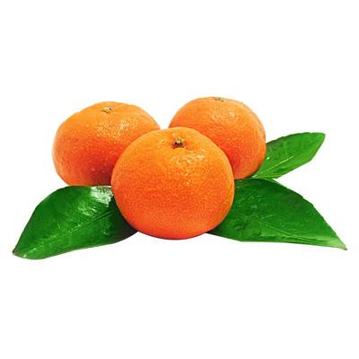 新鲜台州临海涌泉蜜桔甜桔子