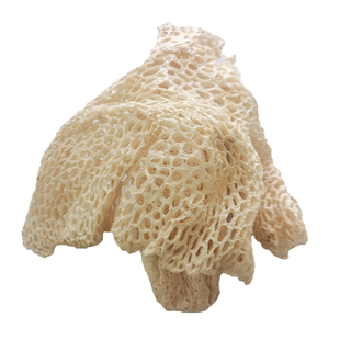 四川长宁竹海长裙竹荪当年干货二级仿野生无硫熏漂白基地直发500g