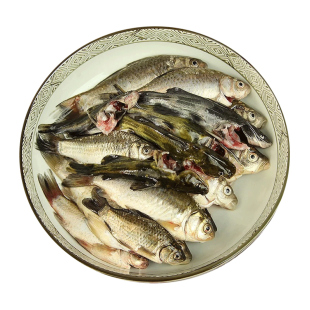 江苏生态淡水鱼鲜活现杀小杂鱼鲫鱼鲶鱼黄骨鱼小白条随机2斤水产