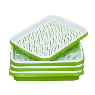 育苗盘豆芽小麦苗大蒜水培蔬菜盘