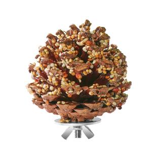 yee鹦鹉奖励零食棒磨喙松果球训练玄凤牡丹专用啃咬玩具鸟粮用品