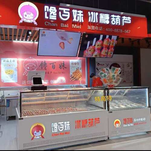 网红风冷迷你小串冰糖葫芦厚切炒酸奶展示柜冰柜冰淇淋冷藏冷冻柜