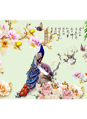 花开富贵孔雀装饰画新中式牡丹玉兰花客厅沙发背景墙吉祥挂画