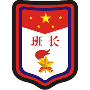 副大队长标志三道杠小队长徽章一道杠中队长二道杆小学生袖章牌子