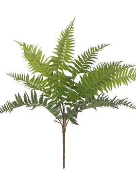 仿真波斯蕨类室内大叶子绿植墙装饰北欧苔藓景观植物造景假草绿叶