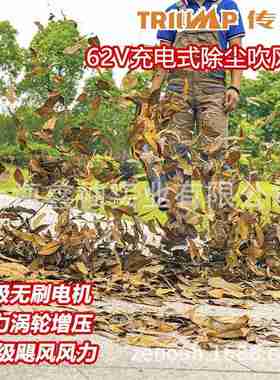传峰TPBL6205 62V充电式吹风机手提无线锂电吹树叶除尘鼓风机