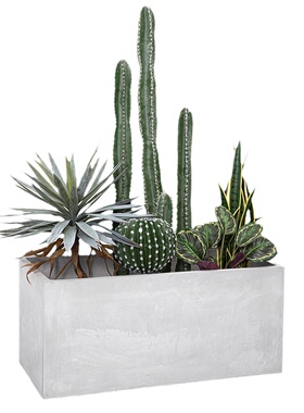 仿真仙人掌植物造景网红绿植景观