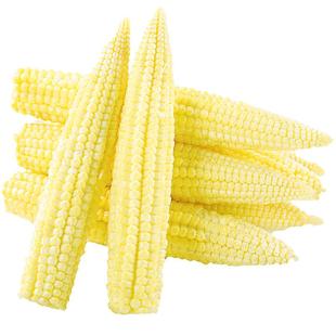 新鲜甜玉米笋9斤小玉米芯仔蔬菜迷你嫩玉米水果玉米批发整箱包邮