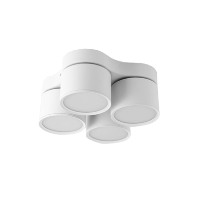 天花明装筒灯调光调色涂鸦ZigBee