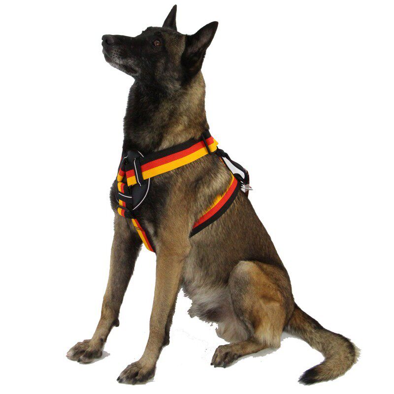 狗牵引训犬德国金毛版扑咬胸背黑色犬用背带德牧马犬工作犬训练