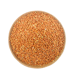 鸟食带壳红谷子增亮毛色鸟粮虎皮牡丹玄凤大颗粒中小型鹦鹉粮食物