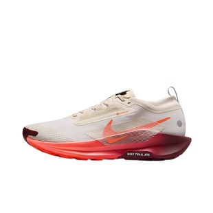 Nike耐克男鞋飞马Pegasus Trail 5 GTX拒水越野跑步鞋FQ0908-104