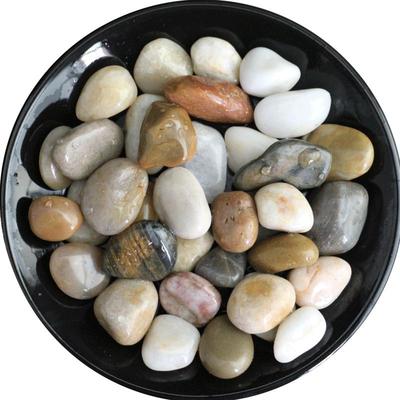 50斤天然铺路园林鱼缸造景鹅卵石