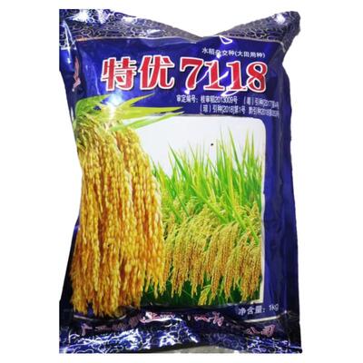 桂潮米杂交稻米粉专用特优7118杂交水稻种子圆粒大穗产量高1公斤