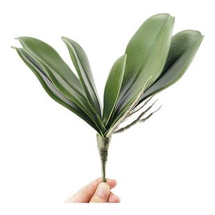 PU手感仿真蝴蝶兰叶子配件兰花叶塑料花插画配件绿植盆栽装饰花卉