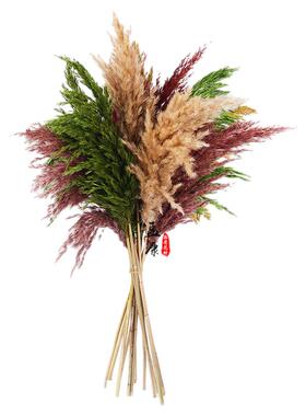 小芦柴干花花束高级感侘寂风婚庆装饰柴芦干燥花芦苇花仿真花