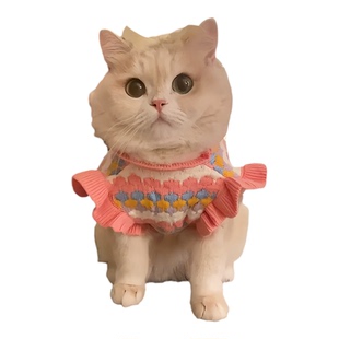 小猫咪衣服冬装宠物毛衣布偶银渐层小型犬加厚可爱卫衣猫猫防掉毛