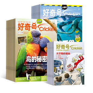 好奇号杂志儿童期刊科普12期36本传奇天下6-12岁2026订阅过刊X星球Y世界中英双语故事书先导视频小学生一二三四五六年级书