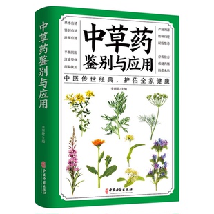 中草药鉴别与应用速查手册功效速记中药草药药材识别鉴别品种书籍中医处方的配方搭配配制处方集以及方剂学配伍方法事项