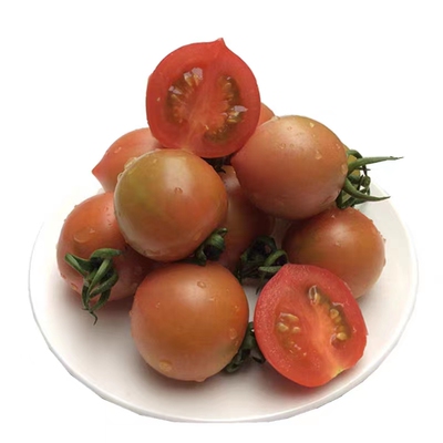 福建春桃柿子圣女果小番茄现摘草莓铁桃西红柿新鲜自然熟柿子水果
